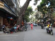 Hình ảnh Mặt Phố Nguyễn Phúc Lai. KD Sầm Uất, Vị Trí Đắc Đia, Lô Góc 2 Mặt Tiền