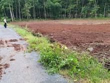 Hình ảnh 1000m2 40m ngang mặt tiền đường Nhựa, chỉ hơn 1tỷ, thị xã Chơn Thành .