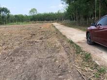 Hình ảnh Siêu Phẩm Đất Thị Xã Cần Bán Gấp