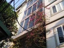 Hình ảnh cho thuê nhà 4 tầng tại Hoàng Văn Thái