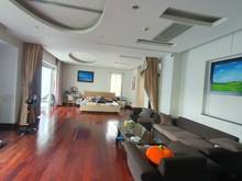 Hình ảnh Cho thuê Biệt thự đường Lê Liễu Tân Phú. Thiết kế Singapore, 20x23m