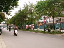 Hình ảnh TOÀ NHÀ LÔ GÓC#Nguyễn Khánh Toàn#180m2#Giá 80 Tỷ