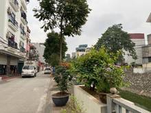 Hình ảnh Bán Nhà Chính Chủ Khu Đa Sỹ, Hà Cầu, Phân Lô 40M2, Ngõ Rộng, 097269616