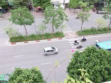 Hình ảnh Cho thuê nhà 2 tầng mặt phố Ô Chợ Dừa  DT 33m2, MT 3.7m.