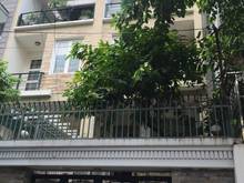 Hình ảnh Cho thuê nhà nguyên căn đường Lê Sát Tân Phú. DT 8.5x20m