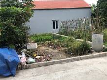 Hình ảnh Bán gấp 123m2 đất tân ước thanh oai chia 3 lô chỉ 1 tỷ sđcc