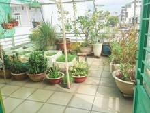 Hình ảnh MT KD Trần Văn Đang, P.9, Q.3, Dt: 4.3 x 22, Bốn tầng, giá 14 tỷ 800.