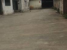 Hình ảnh Cho thuê 500m2 kho Âu Cơ 72k/m2 xe cont 20 feet ra vào