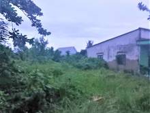 Hình ảnh Bán 2000m2 đất thổ cư xã An Thới Đông Cần Giờ, giá 4.9 tỷ