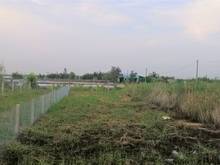 Hình ảnh Bán lô đất mặt tiền đường nhựa Bình Khánh Cần Giờ , 164 m2, giá 2,2 tỷ