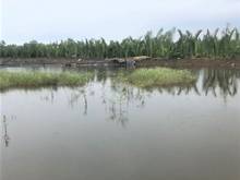 Hình ảnh Bán lô đất đẹp giá rẻ tại xã Bình Khánh Cần Giờ, 2000m, giá 1.3 tỷ
