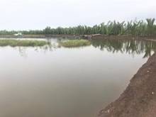 Hình ảnh Bán lô đất đẹp giá rẻ tại xã bình khánh Cần Giờ, 2000m, giá 1.3 tỷ