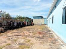 Hình ảnh Bán lô đất đẹp cách đường Duyên Hải Cần Giờ 100m, 180m2, giá 30 tr/m2