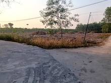 Hình ảnh 31 275m2, 640m mặt Tiền, 54tr/m ngang, kế Bên KDC Phúc Hưng Golden,.