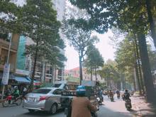 Hình ảnh Bán căn góc Nguyễn Kim khu đồ điện tử (DT: 5x12m, 3 tầng) P.7 quận 10