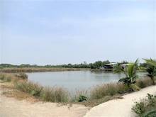Hình ảnh Bán lô đất 3413m2 vuông vức tại xã Lý Nhơn Cần Giờ, giá 1.1 tỷ/1000m