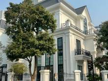 Hình ảnh Biệt thự Geleximco 152m2, 4 tầng, lô góc hoàn thiện đẹp làm văn phòng
