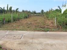 Hình ảnh Bán lô đất đẹp 223m2 (7x32) ngay KDC xã Bình Khánh Cần Giờ, giá 2,3 tỷ