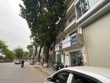 Hình ảnh Bán Nhà Mặt Phố Lạc Long Quân. Vỉa Hè. KD Sầm Uất. DT 64M. Giá 28,5 tỷ