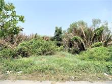 Hình ảnh Đất MT đường rừng sác cách phà Cần Giờ 3km, 1035m, giá 22triệu/m2