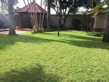 Hình ảnh Bán biệt thự sang trọng Đ,bình lợi ,phường 13, bình thạnh gần mặt tiền
