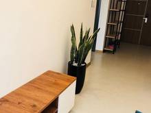 Hình ảnh Cho thuê Trang Chủ MB66.COM / Đăng Ký Tặng 66K chung cư 24AB Đường D5 - 70m2 2PN full