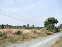 Hình ảnh Bán lô đất MT đường xe hơi tới đất Lý Nhơn Cần Giờ, 1313m, giá 3,5 tỷ