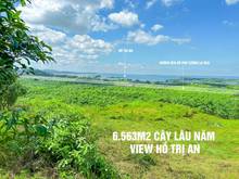 Hình ảnh Mặt tiền dài 80m view hồ Trị An, chính chủ bán 750k/m2