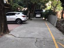 Hình ảnh Cho thuê Trần Cung 60m 4tầng 4P ô tô 2,5 tấn đỗ cửa KD đa dạng giá rẻ