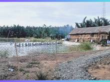 Hình ảnh Bán lô đất 4270m2 cách phà Bình Khánh Cần Giờ 2km, giá 1,7tỷ/1000m