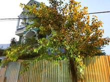 Hình ảnh Đất hẻm xe hơi kinh doanh Nguyễn Văn Lượng 5x10m