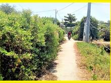 Hình ảnh Chính chủ bán gấp lô đất thổ cư 190m xã Bình Khánh Cần Giờ, giá 2,4 tỷ