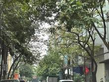 Hình ảnh số 68, Lô 4A, La Khê, Hà Đông, Hà Nội.