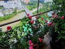 Hình ảnh Cho thuê Penthouse Sky Garden 3, Quận 7 300m2, 4PN, NTCC. Giá tốt