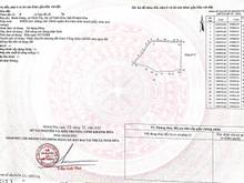 Hình ảnh Đất Cây Qh thổ FULL Giá nét căng