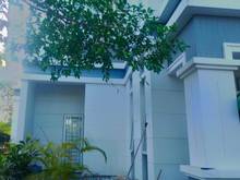 Hình ảnh Bán nhà biệt thự 2 tầng đường Tam Đa Trường Thạnh Q9 7000m2 100 tỷ