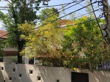 Hình ảnh Cho thuê biệt thự dt 450m2 ngang 20x23m trệt 1 lầu Ngô Thời Nhiệm Q3