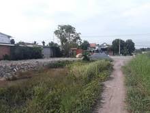Hình ảnh Cho thuê đất trống 1200m2 Bình Nhâm, BD