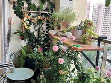 Hình ảnh [한국말 가능]  Cho thuê  Trang Chủ MB66.COM / Đăng Ký Tặng 66K cao cấp Riverside Residence, PMH, Q7