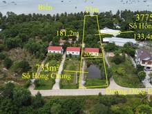 Hình ảnh Bán đất biển bãi bổn hàm ninh có sẵn 5 homestay có thể khai thác