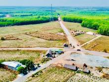 Hình ảnh Đất Vườn, Thổ Cư KCN Becamec, Đảo Ngọc- Minh Thành-Bầu Nàm, Chơn Thành