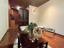 Hình ảnh 🏝 Căn Hộ studio full nội thất gần ngã 4 Hàng Xanh