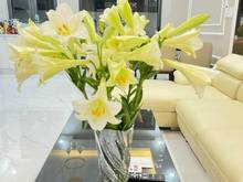 Hình ảnh Cho thuê nhà 3 tầng Belhomes 80m2 full nội thất