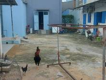 Hình ảnh Bán đất 200m2 đường Đoàn Nguyễn Tuấn liền kề chợ Hưng Long 1 tỷ 600 tr