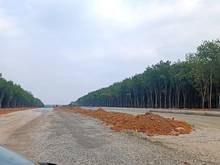 Hình ảnh 31 275m2, 640m mặt Tiền, kế Bên KDC Phúc Hưng Golden, bán lấy tiền xai