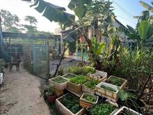Hình ảnh Bán Lô Đất 97m2 Giá Chỉ 580Triệu Tp Biên Hoà