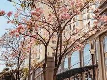 Hình ảnh Cho thuê Trang Chủ MB66.COM / Đăng Ký Tặng 66K Saigon Mia 2PN 2WC full nội thất -15tr, 3PN -18tr