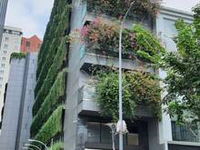Hình ảnh Cho thuê nhà Góc 2 Mặt tiền Siêu đẹp  Nguyễn Huệ  4.2x27m .quận 1