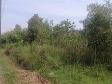 Hình ảnh Bán 5700m đất 3 mặt tiền đường Long Thuận, Long Phước, Thủ Đức, ngang
