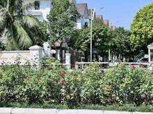 Hình ảnh bán biệt thự đường hoa hồng, vin river ,long biên: 250m2